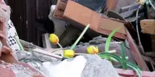 Colombia, a Pereira residenti e soccorritorri setacciano le macerie