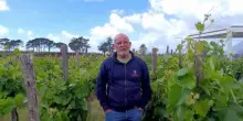 Tenuta di Castellaro a Lipari, Massimo Lentsch: "Vini autoctoni in una cantina bioenergetica raffrescata coi venti delle Eolie"