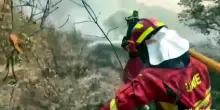 Spagna, incendi boschivi nel Sud: 28.000 ettari bruciati