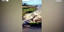 Hawaii, passaggio dell&rsquo;uragano Lala: forti piogge e allagamenti