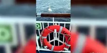 Le immagini della barca a vela alla deriva nel Golfo di Biscaglia