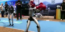 Debutto record dei robot umanoidi Unitree a Shanghai, fino al + 629%