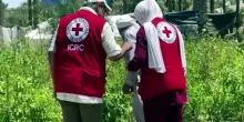 Gaza, una tenda per salvare i semi dei campi distrutti