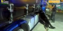 Maxi sequestro di droga a Civitavecchia, arrestato autista tir