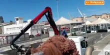 Recuperata "rete fantasma" di 4 tonnellate nelle acque del Tirreno meridionale
