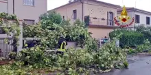 Dal primo pomeriggio i Vigili del fuoco sono impegnati per i danni causati da forte vento e pioggia