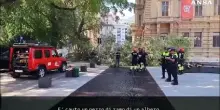 A Bolzano un ramo si stacca da un albero e travolge tre persone