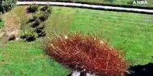 Il Parco internazionale di scultura di Villa Furstenberg a Mestre apre a nuovi percorsi tra arte e natura