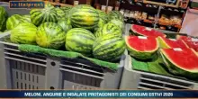 Tg Economia - 25/8/2026