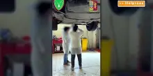 Auto clonate sequestrate a Palermo, erano destinate al mercato nero in Tunisia