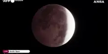 La Luna si tinge di rosso: lo spettacolo dell'eclissi da Siviglia a Los Angeles