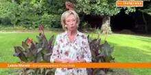 Moratti "Sul caro carburanti e sul caro bollette vincela linea di Forza Italia"