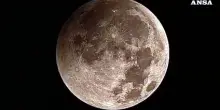 La Luna sparisce nell'ombra: l'eclissi parziale all'alba