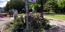 Svizzera, italiana uccisa al rave: caccia al killer ad Aarau