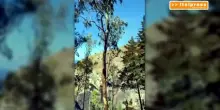 Le drammatiche immagini dell'incendio che ha minacciato Taormina