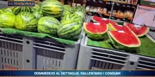 Tg Economia - 4/9/2026