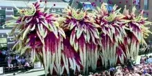 Olanda, la gigantesca e coloratissima parata di fiori di Zundert