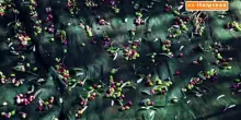 Made in Italy: l&rsquo;olio arretra, il vino tiene