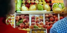 Ue, cresce il surplus commerciale agroalimentare