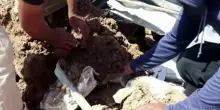 Cisgiordania, altre dieci case demolite dai bulldozer israeliani