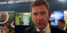 Riso campione di difesa, quasi 740 milioni di euro il valore assicurato