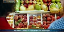 Agrifood Magazine - 16/9/2026