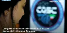 Pedopornografia: operazione "Fly Trap", 17 arresti