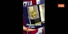 Giani premia Ginevra Taddeucci con Pegaso d'Oro: Grande ambasciatrice della Toscana nel mondo