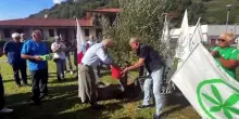 A Pontida Leoni e Calderoli piantano un ulivo per Umberto Bossi