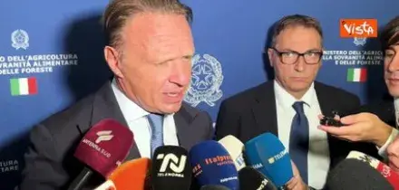 Lollobrigida su Carta Dedicata a Te: Sostegno alle famiglie e spinta alle imprese italiane