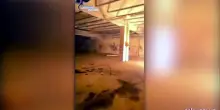 Producevano e testavano molotov in un capannone: 4 giovani indagati