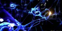 Malattie rare, la dura sfida tra nuovi farmaci e sostenibilit&agrave;