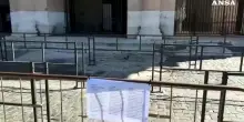 Operaio morto, l'annuncio della chiusura del Colosseo