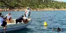 Sardegna, Amp Tavolara: curata e rimessa in mare una tartaruga Caretta Caretta