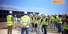 Nadara e Amazon, in Sicilia il pi&ugrave; grande impianto agrivoltaico d&rsquo;Italia