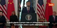 Xi Jinping annuncia: Due panda dalla Cina allo zoo di Atlanta. Trump sorride