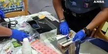 Ostia, blitz dei carabinieri nei fortini dello spaccio: 5 arresti e 14 denunce