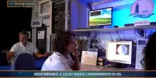 Tg Ambiente - 27/9/2026
