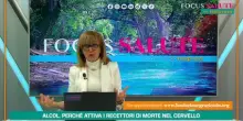 Focus Salute - Alcol, perch&eacute; attiva i recettori di morte nel cervello