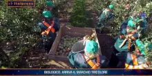 Agrifood Magazine - 30/9/2026