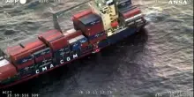 Un capodoglio affonda uno yacht, salvati quattro marinai