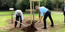 Wadephul a Roma, piantumato albero per 75 anni relazioni Italia-Germania