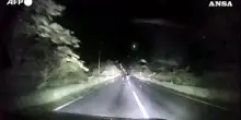 Giappone, dashcam riprende un orso che si scaglia contro un'auto