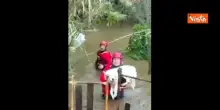 Vigili del Fuoco celebrano San Francesco con un video sui social in cui soccorrono animali