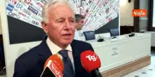 Gasparotti: Berlusconi ci teneva tantissimo ai capelli, se ne perdeva uno gli dava un nome