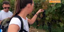 L&rsquo;Italia rilancia l&rsquo;enoturismo sui mercati internazionali
