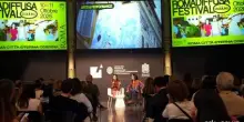 All'Esquilino Romadiffusa, tra luoghi storici e contenuti contemporanei