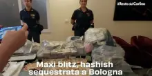 Maxi blitz, hashish sequestrata a Bologna: video