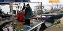 Pesca, in arrivo 10 milioni con "Cambiale Azzurra"