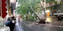 Ondata di maltempo su Napoli, crolla un albero in centro citt&agrave;